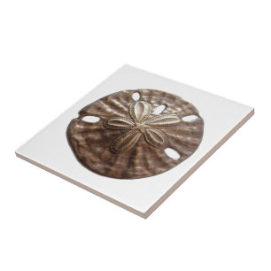 Bronze Sand Dollar Tile
