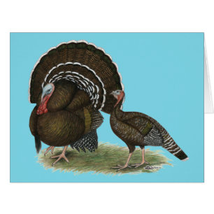 Bronze standard de Turkey