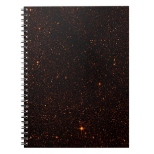 Bronze Stars Notebook