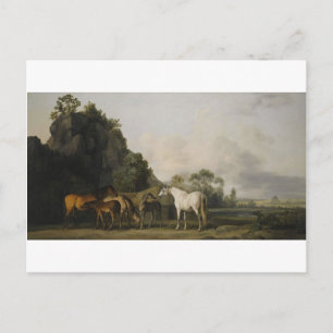 Brood Mares and Foals by George Stubbs Postcard