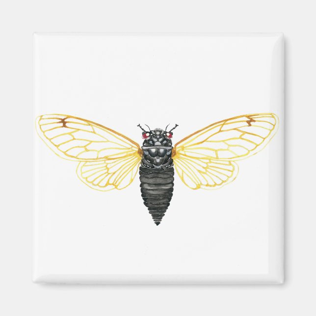Brood X 17 Year Periodical Cicada Magnet (Front)