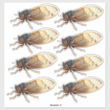 Brood X Periodical Cicada Stickers: 8 per sheet
