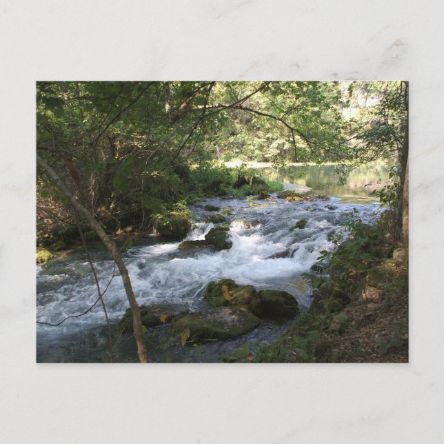 Brook in Alley Springs, Missouri Postcard (Front)