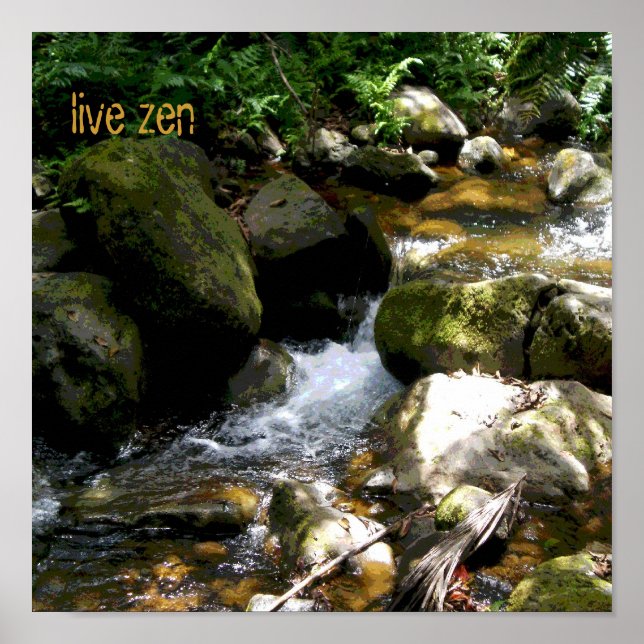 Brook live poster zen (Devant)