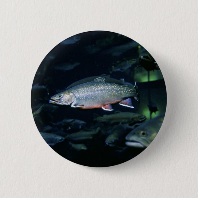 Brook trout 2 inch round button (Front)