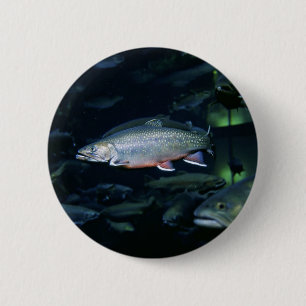 Brook trout 2 inch round button