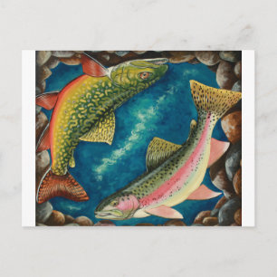 Brook Trout and Rainbow Trout Postcard