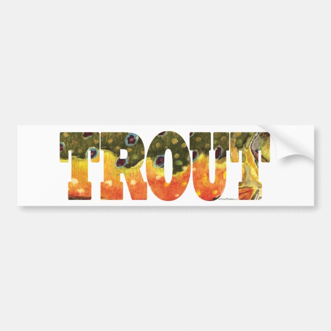 Brook Trout Art Bumper Sticker (Front)