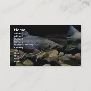 Brook trout business card