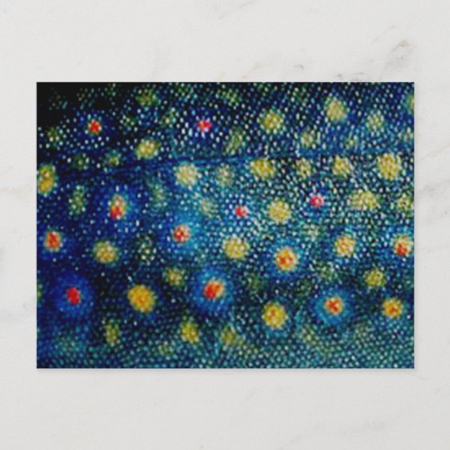 Brook Trout by PatternWear© Postcard (Front)