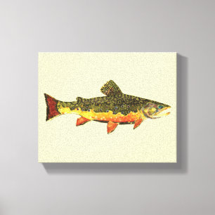 Brook Trout Canvas Print