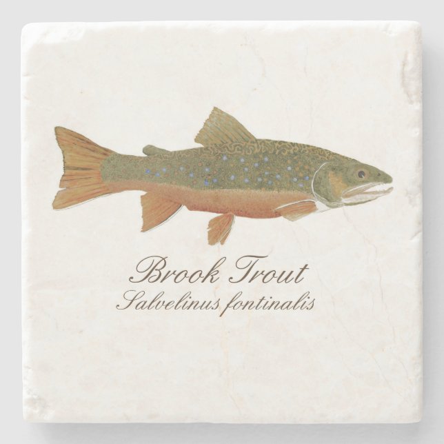 Brook Trout Coaster (Front)