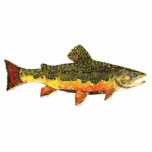Brook Trout Fish Painting Photo Sculpture Keychain<br><div class="desc">BROOK TROUT PAINTING. Just the fish, the whole fish, and nothing but the fish. This design features the wild eastern brook trout, salvelinus fontinalis fontinalis, in rich colours and beautiful patterning just as nature painted it. The art is from an original watercolor painting by Mr. Trout Whiskers. For those who love...</div>