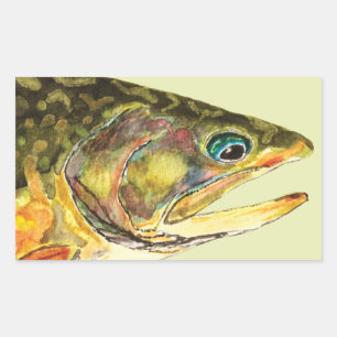 Brook Trout Fisherman Sticker