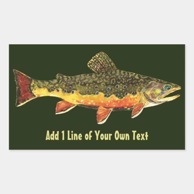 Brook Trout Fisherman's Sticker (Front)