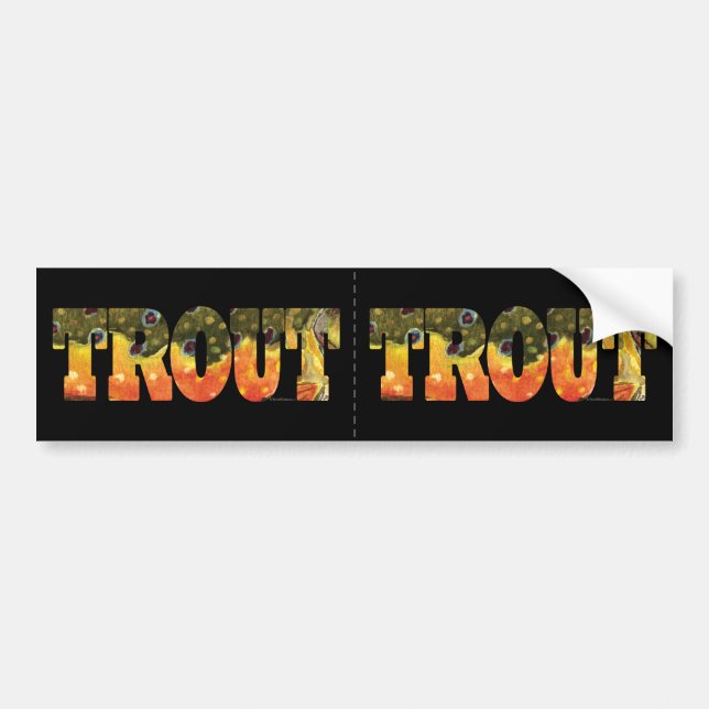 Brook Trout Fishing Bumper Sticker (Front)