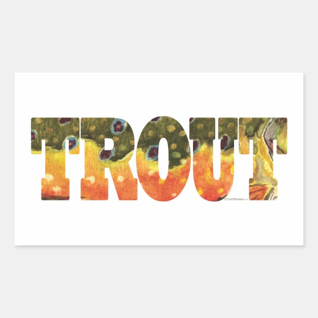 Brook Trout Fishing Sticker (Front)
