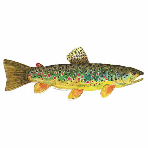 Brook Trout Fly Fishing Photo Sculpture Magnet