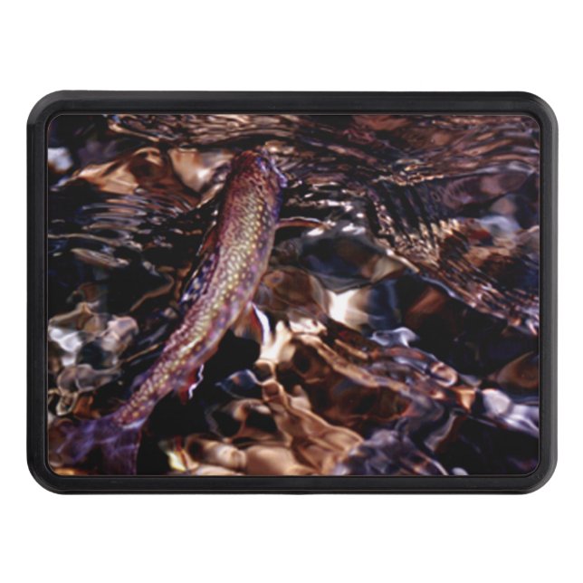 Brook Trout in River Water Trailer Hitch Cover (Front)