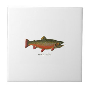 Brook Trout Male (Spawning Phase) Tile