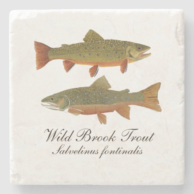 Brook Trout Marble Coaster (Front)