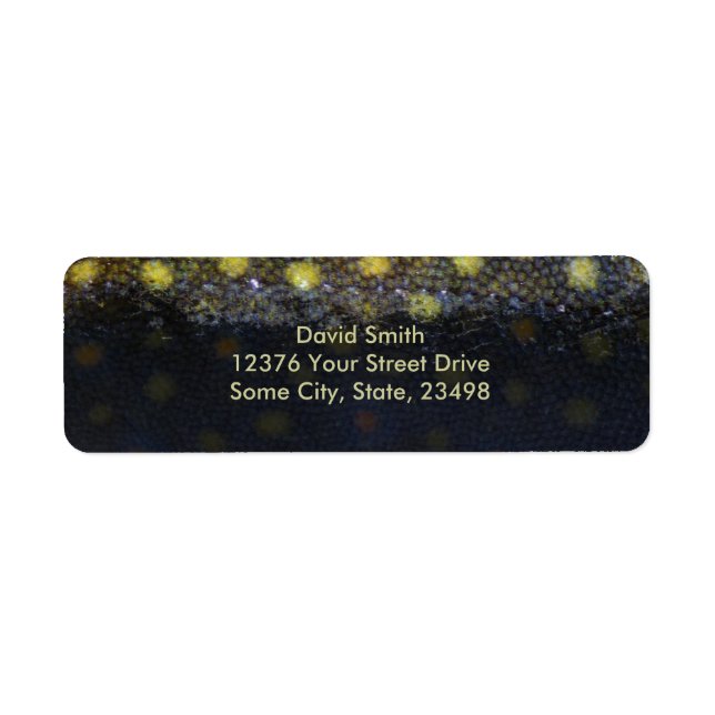 Brook Trout Scales Photography (Front)