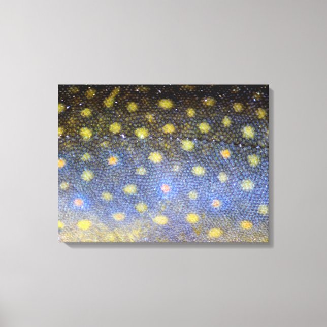 Brook Trout Scales Photography Canvas Print (Front)
