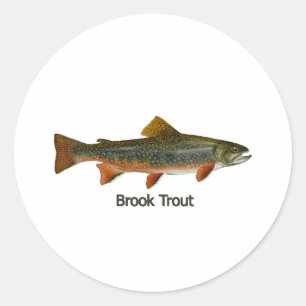 Brook Trout (titled) Classic Round Sticker