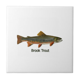 Brook Trout (titled) Tile