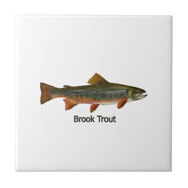 Brook Trout (titled) Tile (Front)