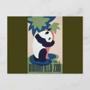 Brookfield Zoo Panda Postcard