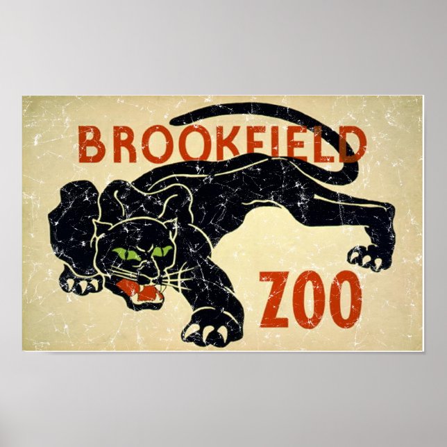 Brookfield Zoo-Panther-distressed Poster (Front)