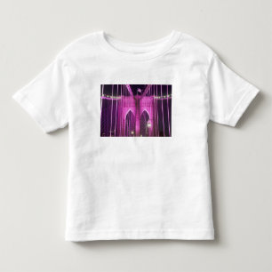 Brooklyn Bridge Lit Purple Toddler T-shirt