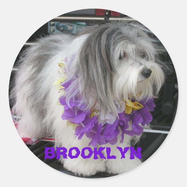 BROOKLYN PURPLE HAWAII STICKERS (Front)