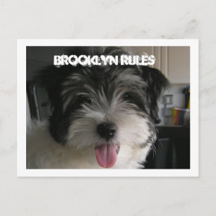 BROOKLYN RÈGLES CARTE POSTALE