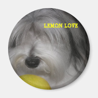 BROOKLYN RÈGLES LEMON LOVE MAGNET