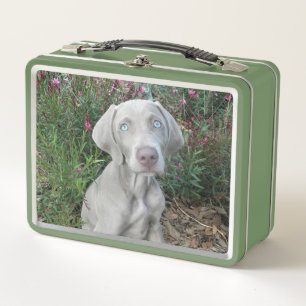 Brooklyn the Weimaraner Dog Metal Lunch Box