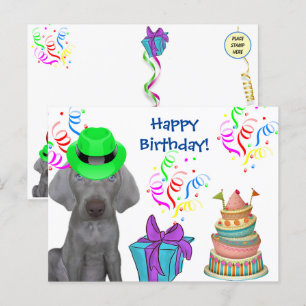 Brooklyn the Weimaraner's Birthday  Holiday Postcard