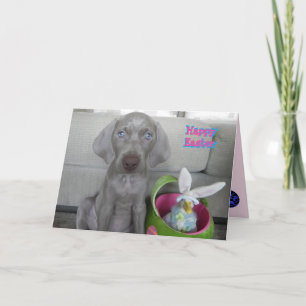 Brooklyn's Easter - Weimaraner Dog / Puppy Card