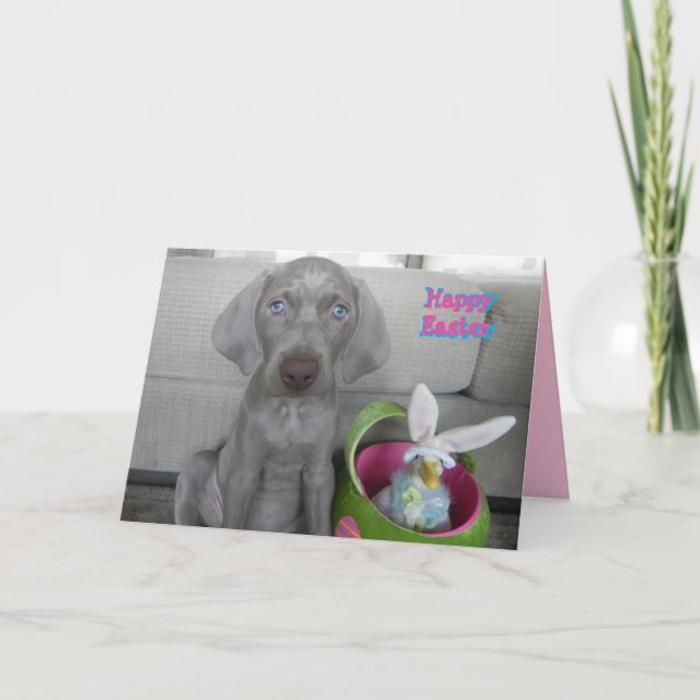 Brooklyn's Easter - Weimaraner Dog / Puppy Card (Front)