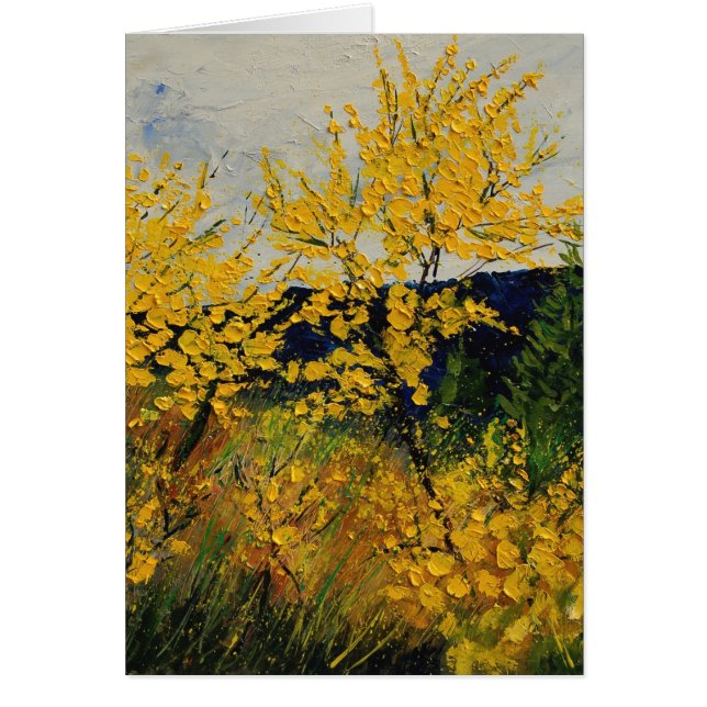 brooms shrubs (Front)