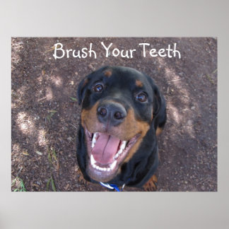 Brosse tes dents Rottweiler Poster de chiot
