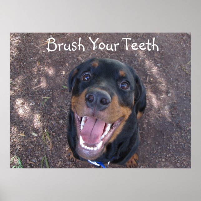Brosse tes dents Rottweiler Poster de chiot (Devant)