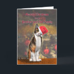 Brother and family, a funny cat in a Christmas hat Holiday Card<br><div class="desc">A cute Christmas cat in a hat. A great card to send to a cat lover. A card for your Brother and family.</div>