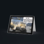 Brother Birthday card with laughing seal pup<br><div class="desc">Brother Birthday card with laughing seal pup</div>