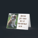 **BROTHER** COOL **HAPPY BIRTHDAY** CARD<br><div class="desc">IF YOUR BROTHER has been "the brother" that you really admire and are SO HAPPY that HE is "your brother"... .let him know on HIS SPECIAL DAY... .HIS BIRTHDAY!!!!!</div>