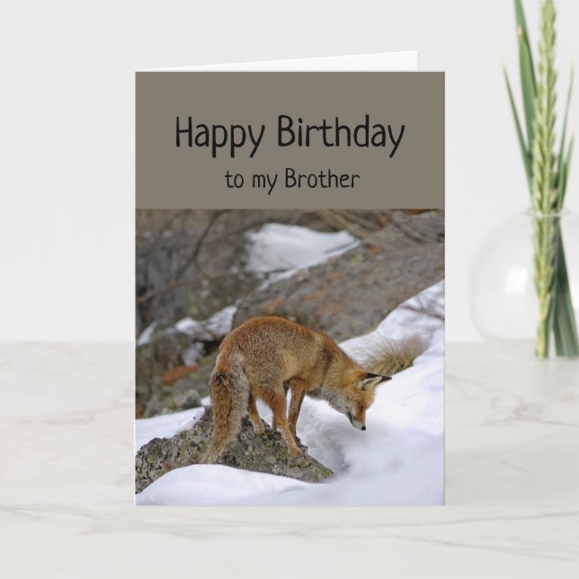 Brother Deserve Wonderful Birthday Fox Animal Card (Front)