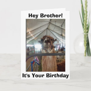 *BROTHER* LLAMA HUMOR ON YOUR BIRTHDAY CARD