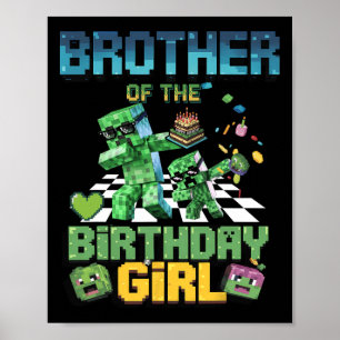 Brother Of The Birthday Girl Funny Video Game Pixe Poster