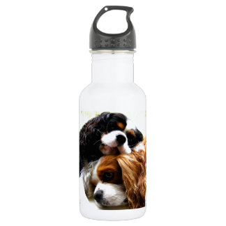 Brothers Cavaliers 532 Ml Water Bottle